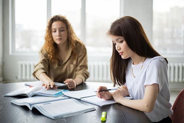 Professional Tutoring
